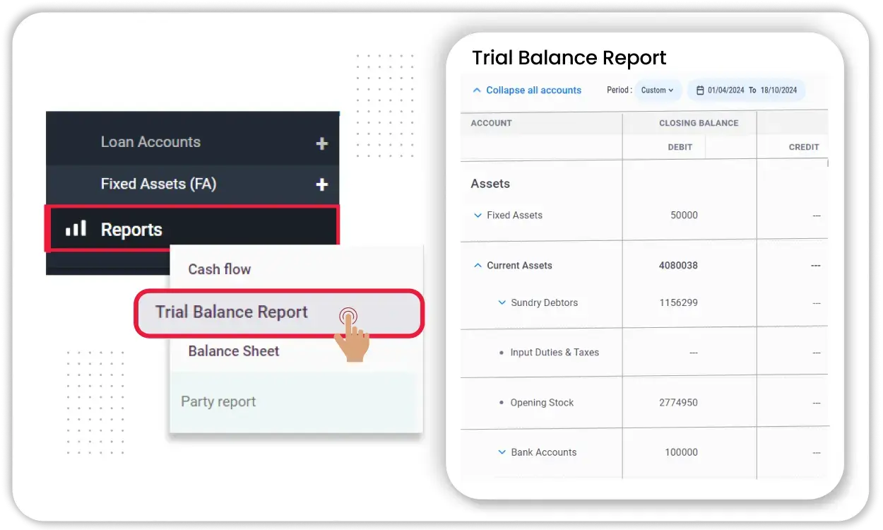 Detailed Trial Balance Reports